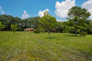 3-6151 Co Rd 393_20180813_025