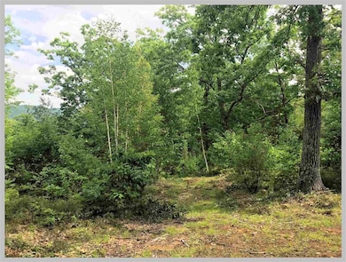 Lot #14 Point of View Dr, Plymouth, NH 03264 - photo 5