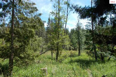 4.9 Audrey Ln, Sagle, ID 83860 - photo 7