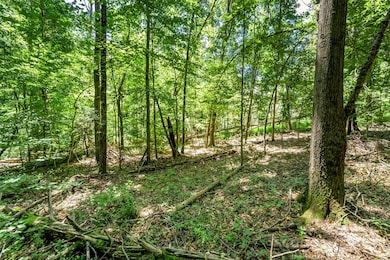 0 Setzer Dr, Morganton, NC 28655 - photo 4