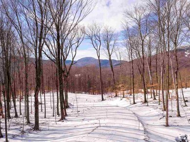 112 Thomas Pasture Rd unit 67, Stowe, VT 05672 - photo 7