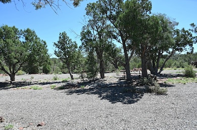 5556 W Refuge Rock Rd unit 55, Seligman, AZ 86337 - photo 3