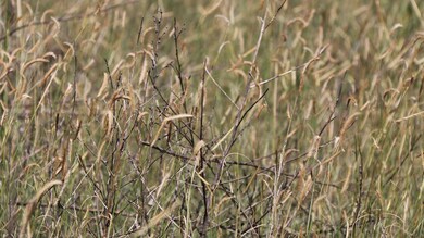 NO460 Rd, Griggs, OK 73949 - photo 7