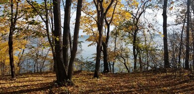 View from Build site
