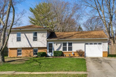 003 667 Mistletoe St Columbus