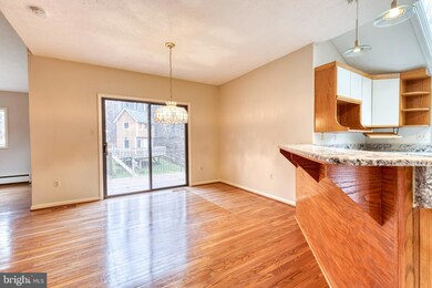 4300 Rousbys Run, West River, MD 20778 - photo 6