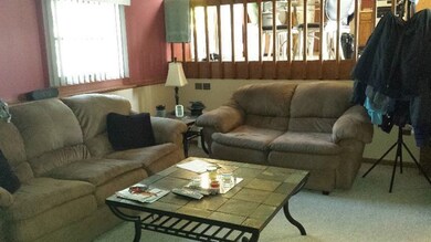 5146 W 91st Ave, Crown Point, IN 46307 - photo 4