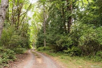 585 Lone Star Rd, Quilcene, WA 98376 - photo 2