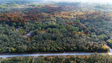 0 Rose Bloom Lot 5 Ave, Webster, FL 33597 - photo 5