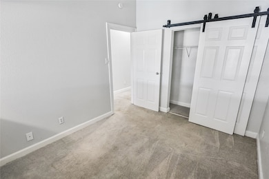 This carpeted bedroom offers a cute barn door to t