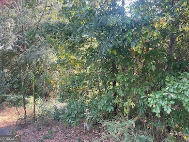 207 Morris St, Palmetto, GA 30268 - photo 2