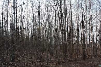 50XX S Maple Dr, Poplar, WI 54864 - photo 3