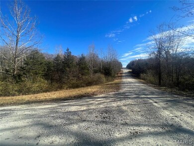 0 Rue de la Paix unit MIS25077778, Bonne Terre, MO 63628 - photo 4