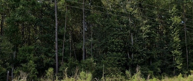 10.4 Acres Louisiana 107, Pineville, LA 71360 - photo 2