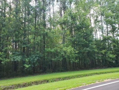 918 Balcombe Rd, Rocky Point, NC 28457 - photo 6