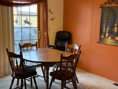 10894 W Grand River Ave, Lowell, MI 49331 - photo 6