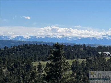 View from the knob