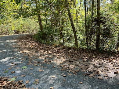 0 Grand View Dr unit 25-836, Forest Hill, WV 24935 - photo 3