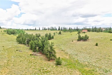 440 Sharps Way, Como, CO 80432 - photo 5