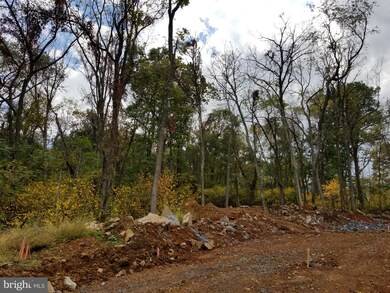 0 Lot 6 Langhorne Dr unit 1003394521, Winchester, VA 22602 - photo 2