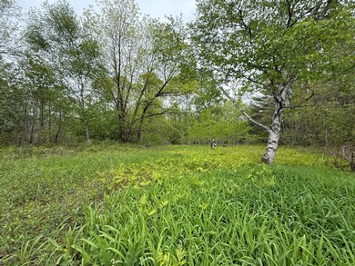 IMG_1849