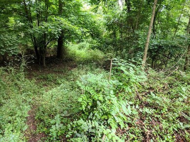 TBD Dennis Dr, Johnson City, TN 37601 - photo 7