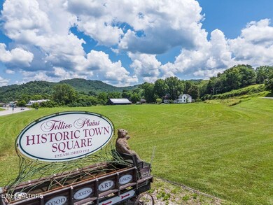 0 1a Cherohala Skyway unit 1324324, Tellico Plains, TN 37385 - photo 6