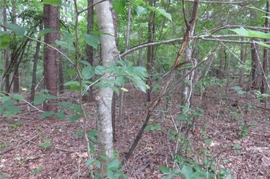 Great private wooded lot.
