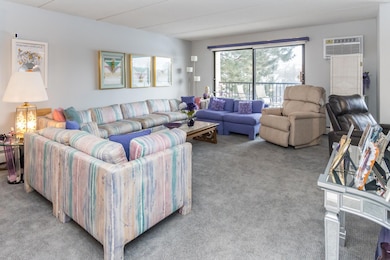 10411 Cedar Lake Rd unit 301, Hopkins, MN 55305 - photo 3