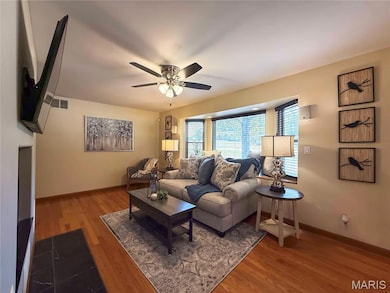 12268 State Road Tt, Festus, MO 63028 - photo 5