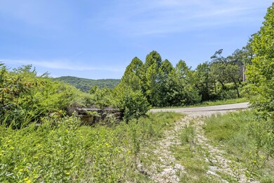Table Rock Lake View Build Site