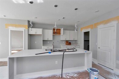 16247 SW 29th Court Rd, Ocala, FL 34473 - photo 6