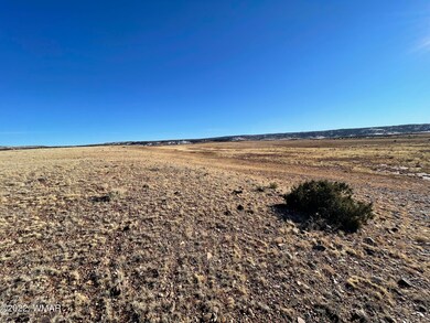 View from the top of the ridge
