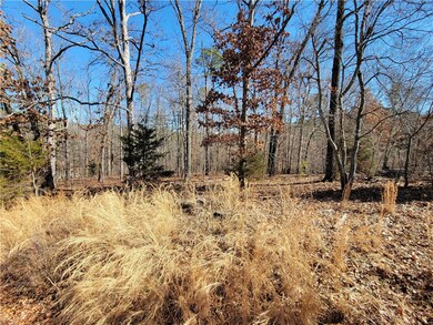 0 Kirkbridge Ln, Bella Vista, AR 72714 - photo 4