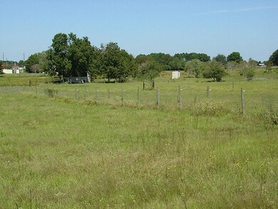 000 Yellow Bird Rd, Hockley, TX 77447 - photo 4