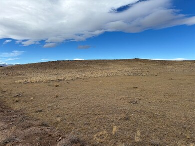 3779 Uxta Trail, Hartsel, CO 80449 - photo 5