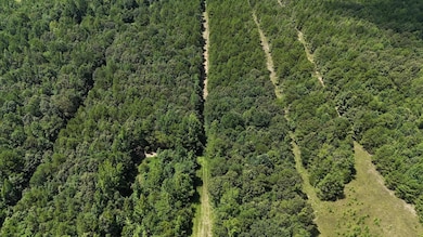 1476 Major Hill Rd, Bethel Springs, TN 38315 - photo 6