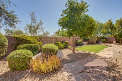 Lush backyard