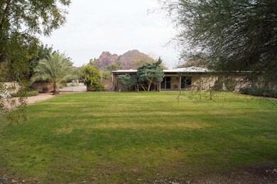 backyard cback mtn