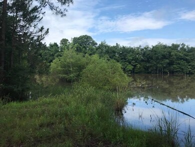 000 Leahs Row, Ambrose, GA 31512 - photo 4