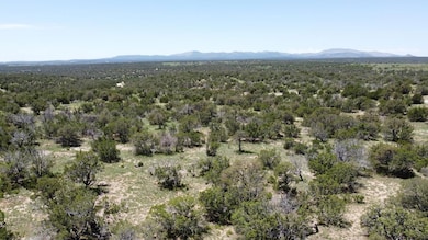 Lot 16 Swayback Trail, Corona, NM 87047 - photo 7