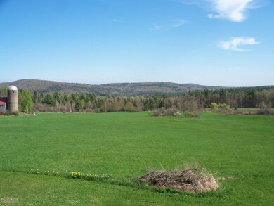 Backyard 3