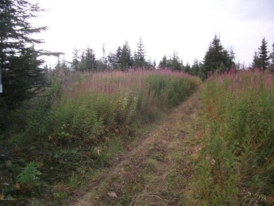 Open Meadow