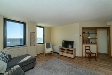 220 Broadway Ave S unit 1112, Rochester, MN 55904 - photo 5