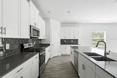 11132 Lore Way, Orlando, FL 32832 - photo 4