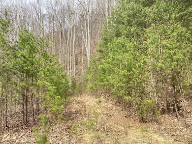 374 Taylor Way, Hiawassee, GA 30546 - photo 7