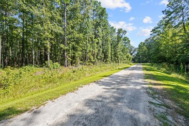 0 Batemans Creek Rd, Pantego, NC 27810 - photo 6
