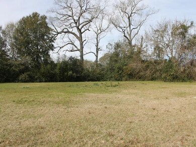 1302 Mlk Blvd, Americus, GA 31719 - photo 3