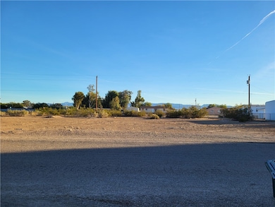 10226 S Empire Rd, Mohave Valley, AZ 86440 - photo 3