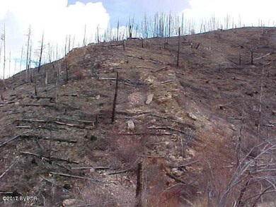 485 Dickson Creek Rd, Conner, MT 59827 - photo 4